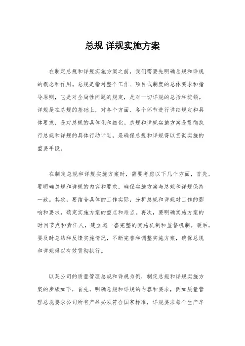 总规 详规实施方案