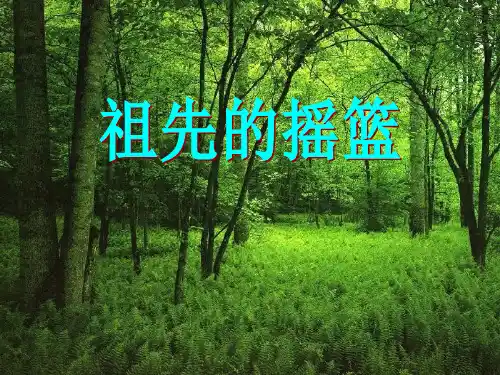 祖先的摇篮｜人教(部编版)()PPT 优秀课件
