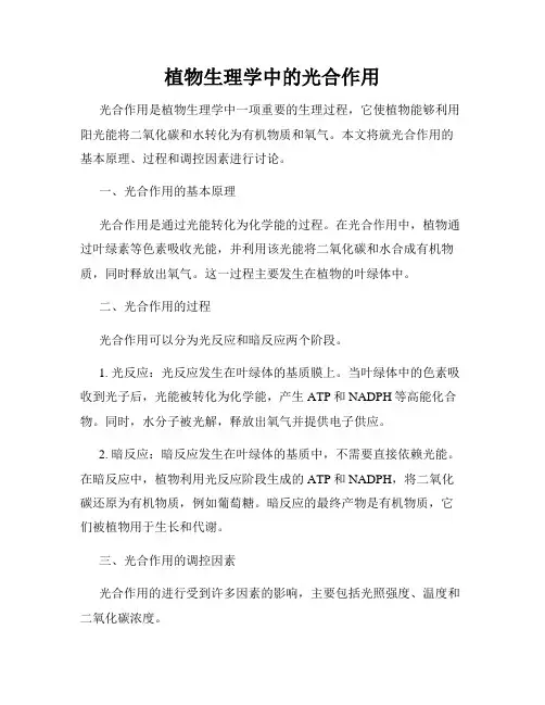 植物生理学中的光合作用