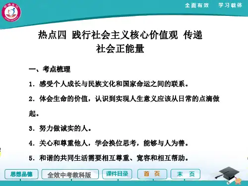 2014中考政治(教科版)总复习课件：热点四 践行社会主义核心价值观 传递社会正能量(35张PPT)