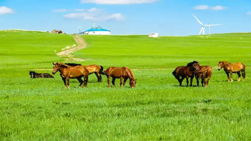高考高中地理一轮复习区域地理中国西北地区页PPT