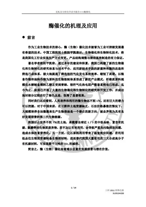 酶催化的应用