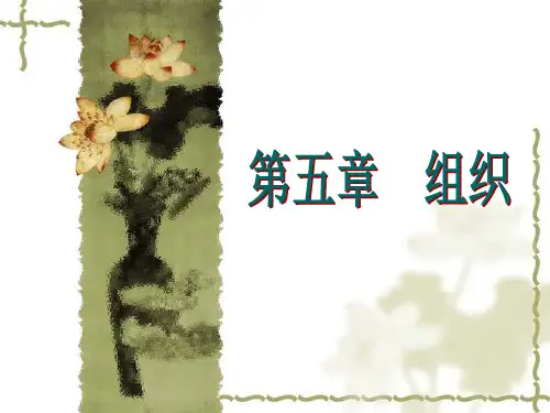 周三多管理学  内容压缩5第五章 组织职能