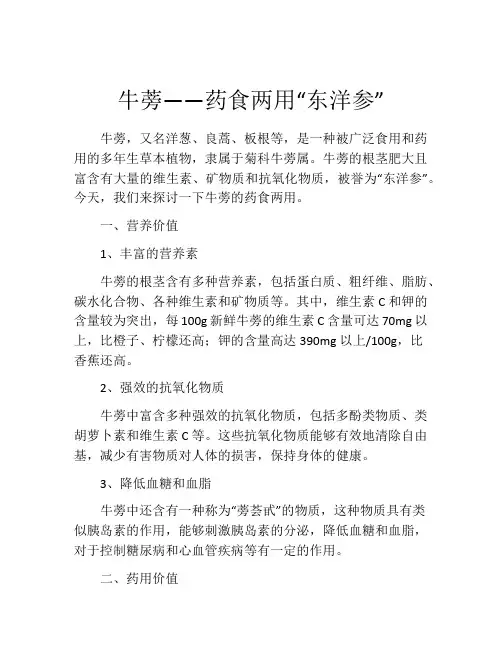 牛蒡――药食两用“东洋参”