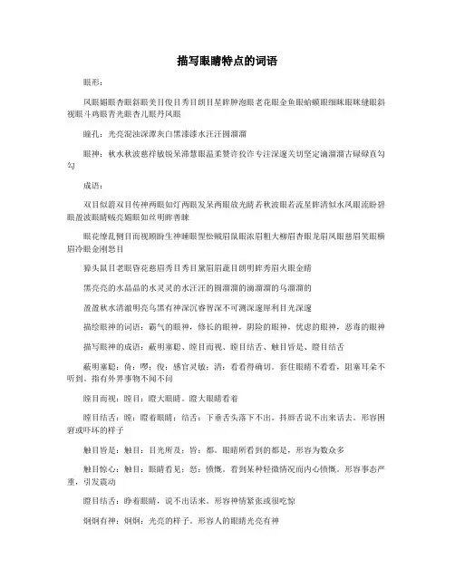 描写眼睛特点的词语