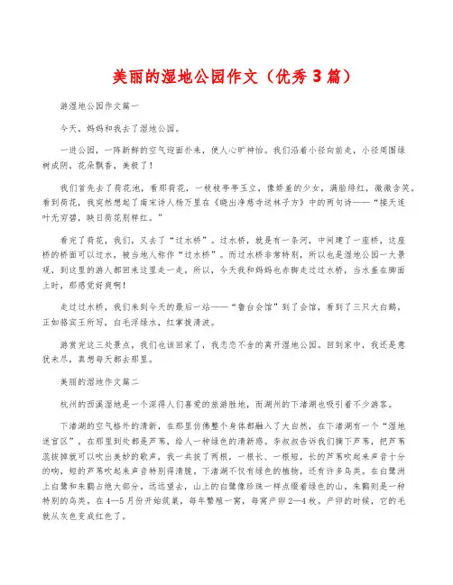 美丽的湿地公园作文(优秀3篇)
