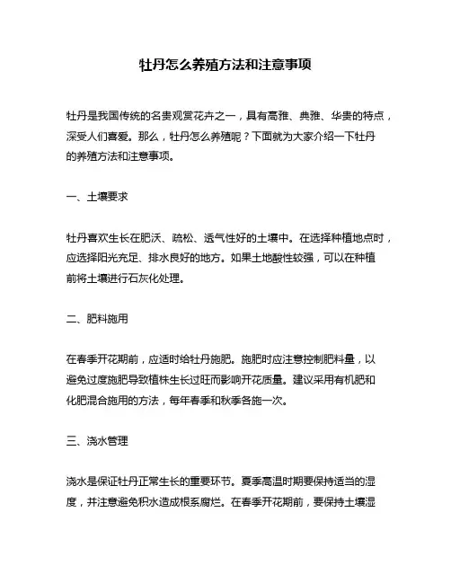牡丹怎么养殖方法和注意事项