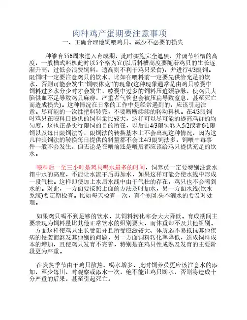 肉种鸡产蛋期要注意事项