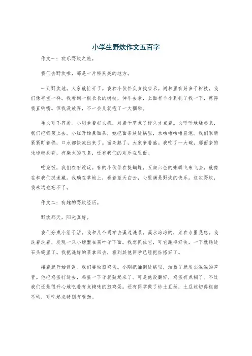 小学生野炊作文五百字