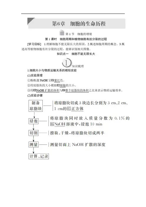 高中生物《细胞周期和植物细胞有丝分裂的过程》导学案+课后作业