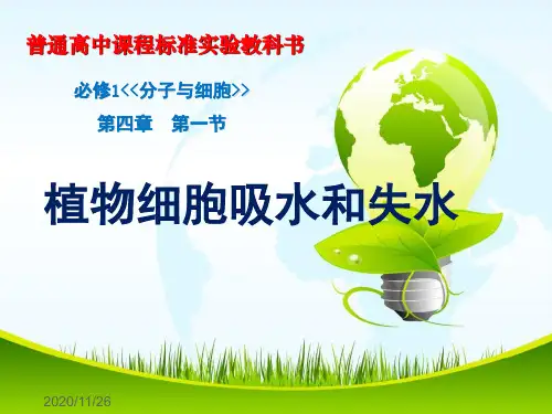 新人教版生物必修一《探究植物细胞的吸水与失水》 说课 上课课件