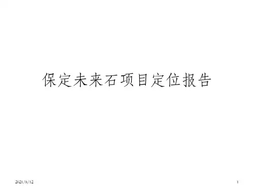 保定未来石商业综合体项目定位报告