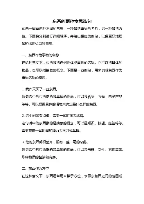 东西的两种意思造句