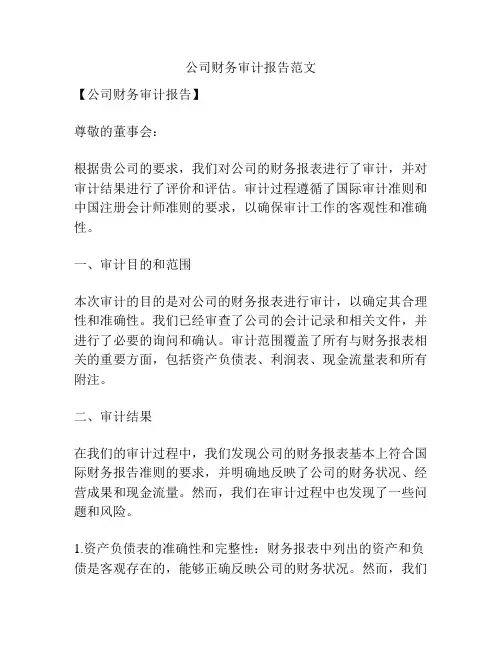公司财务审计报告范文