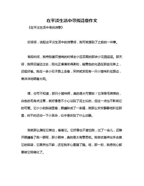 在平淡生活中寻找诗意作文