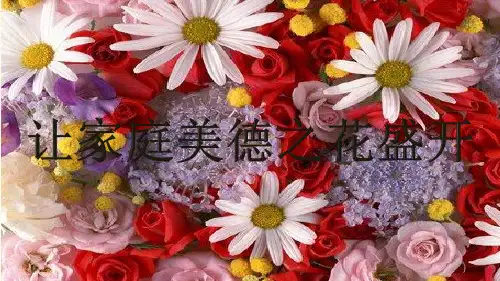 鲁人版五四制七下道法让家庭美德之花盛开 课件