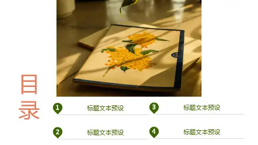 插画风教育课件PPT模板