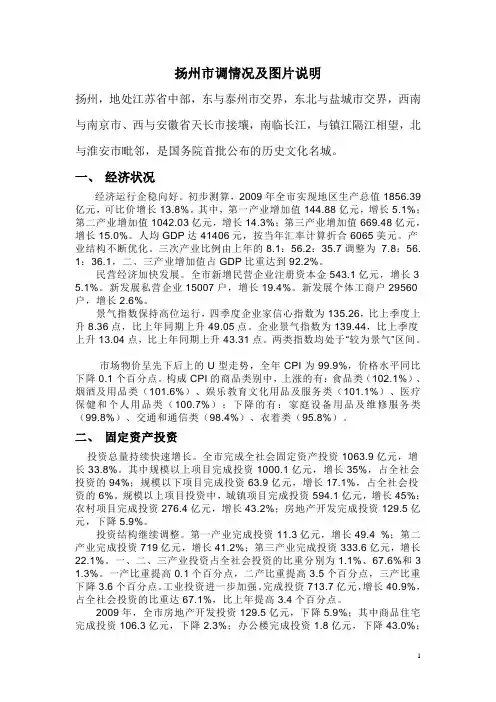 扬州市调情况说明