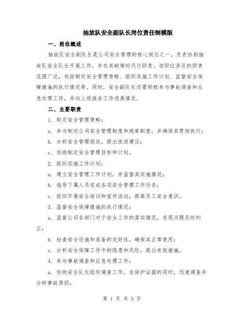 抽放队安全副队长岗位责任制模版