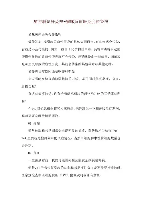 猫传腹是肝炎吗-猫咪黄疸肝炎会传染吗