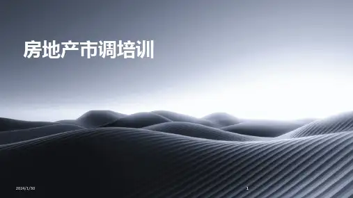 2024版房地产市调培训[2]