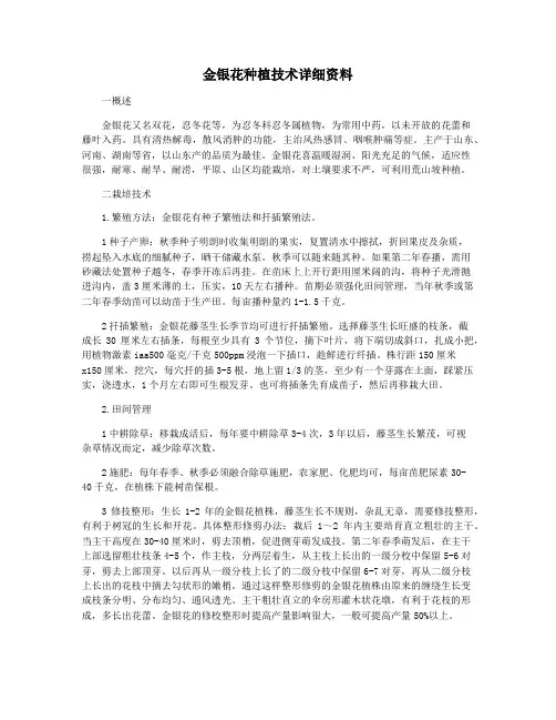 金银花种植技术详细资料