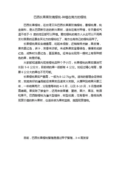 巴西长果黑玫瑰樱桃-种植在南方的樱桃
