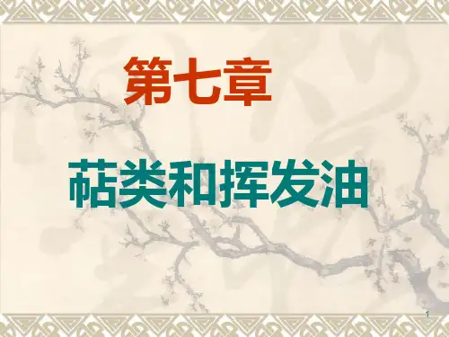 萜类及挥发油