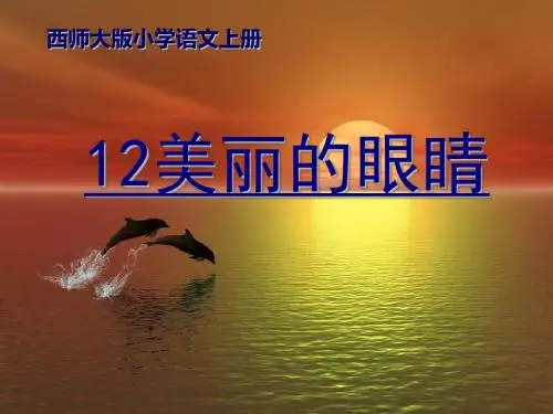美丽的眼睛 PPT课件2