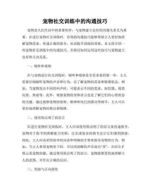 宠物社交训练中的沟通技巧