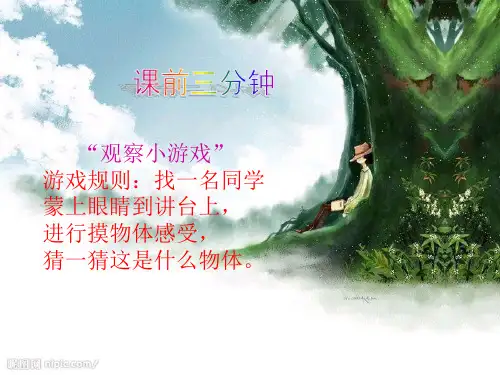 人教版三年级语文上册《观察日记——以观察水果为例》课件