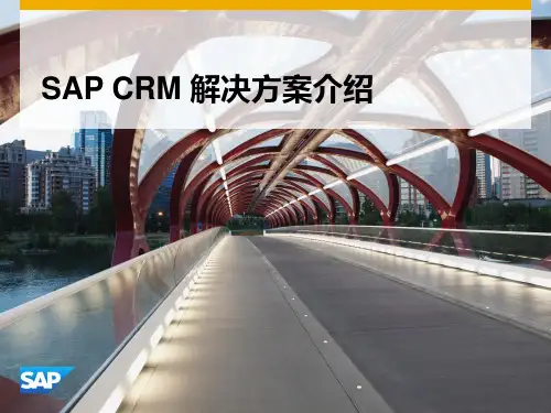 SAP CRM全流程管理解决方案交流