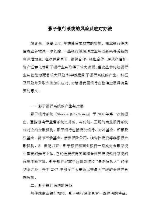 影子银行系统的风险及应对办法