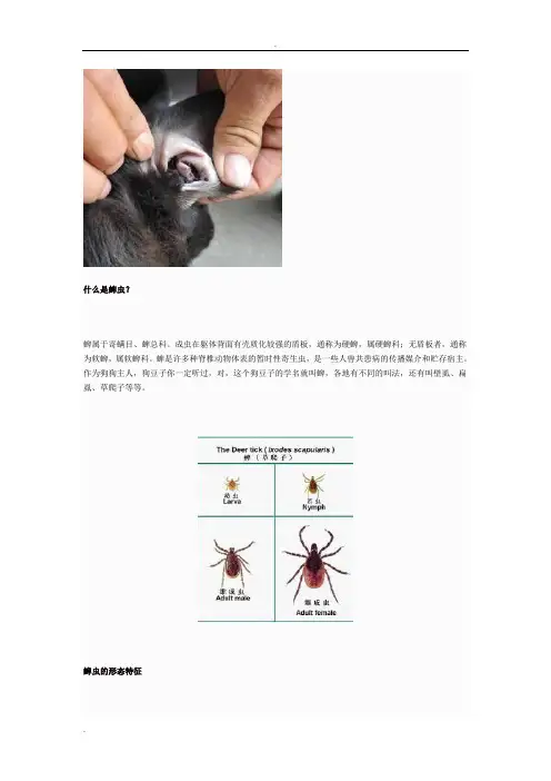 蜱虫生活习性及综合防治