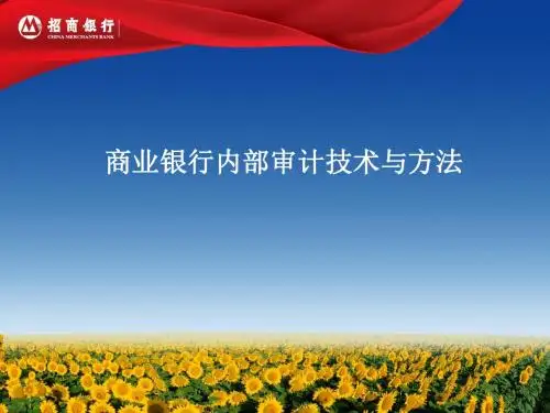 商业银行内部审计技术和方法资料全
