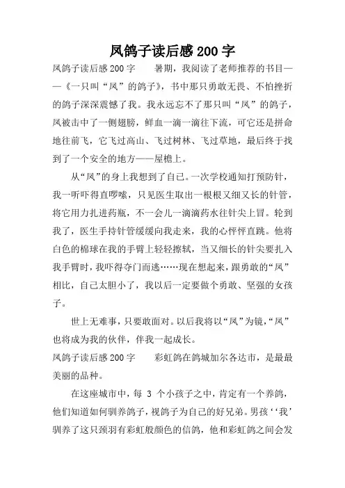 凤鸽子读后感200字