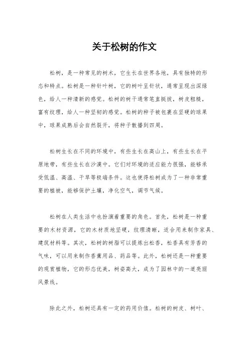 关于松树的作文