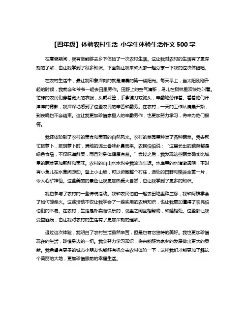 【四年级】体验农村生活 小学生体验生活作文500字