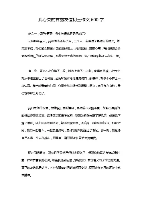 我心灵的甘露友谊初三作文600字