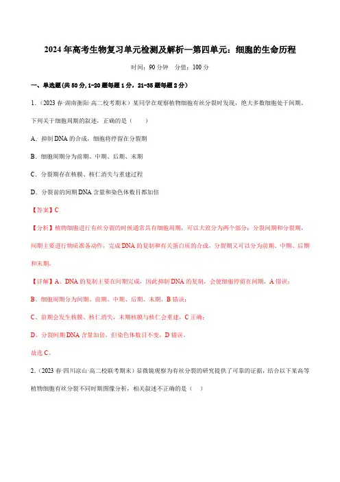 2024年高考生物复习单元检测及解析—第四单元：细胞的生命历程