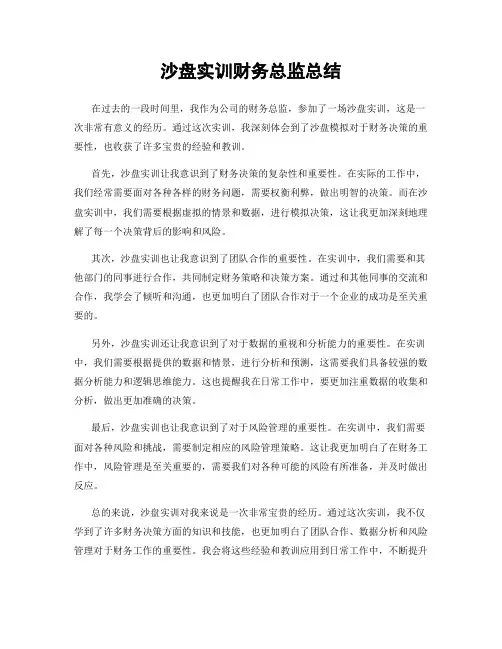 沙盘实训财务总监总结