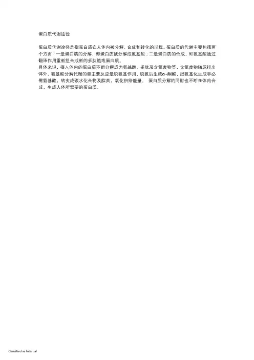 蛋白质代谢途径