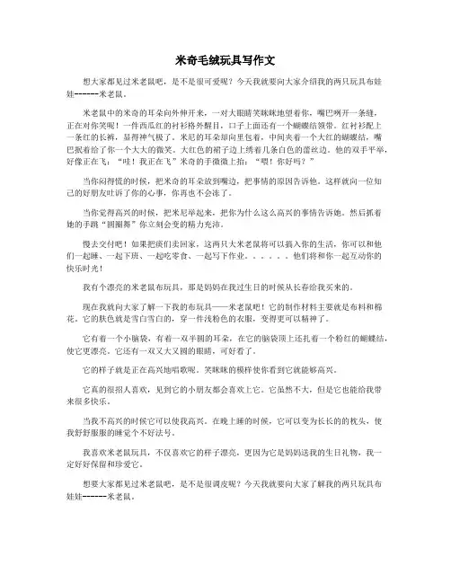 米奇毛绒玩具写作文