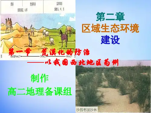 荒漠化防治的对策和措施
