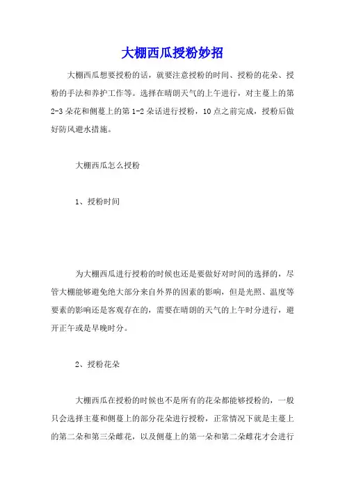 大棚西瓜授粉妙招