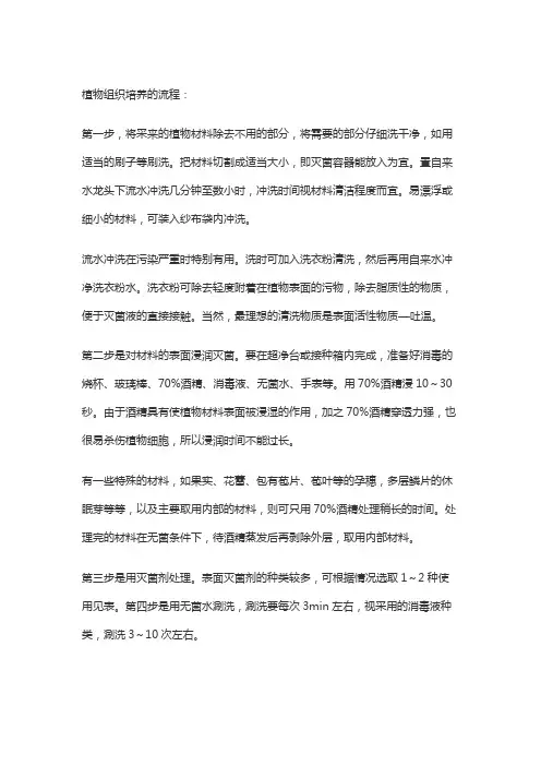 植物组织培养的步骤