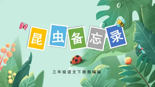 最新人教部编版三年级语文下册第4课《昆虫备忘录》教学课件