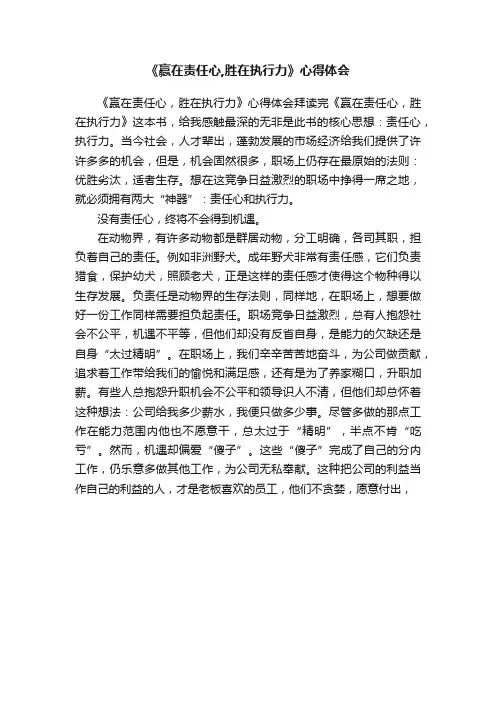《赢在责任心,胜在执行力》心得体会