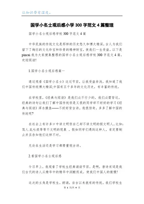 国学小名士观后感小学300字范文4篇整理