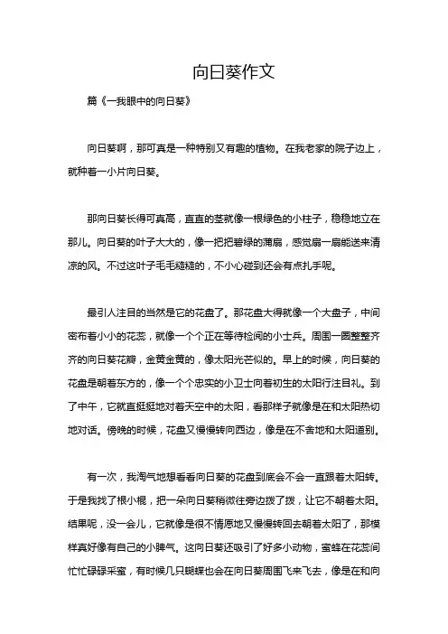向曰葵作文